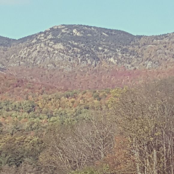 Meet your Posher, Sg - Picture 2 of 2